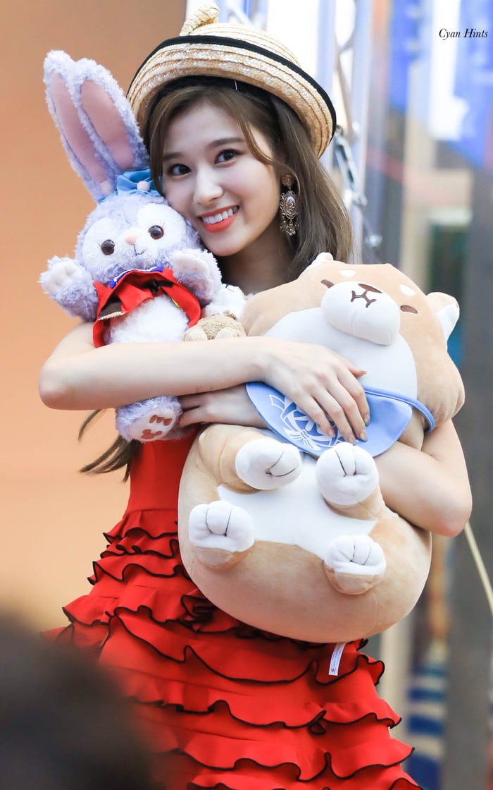 Photo : Sana hugging her plushies