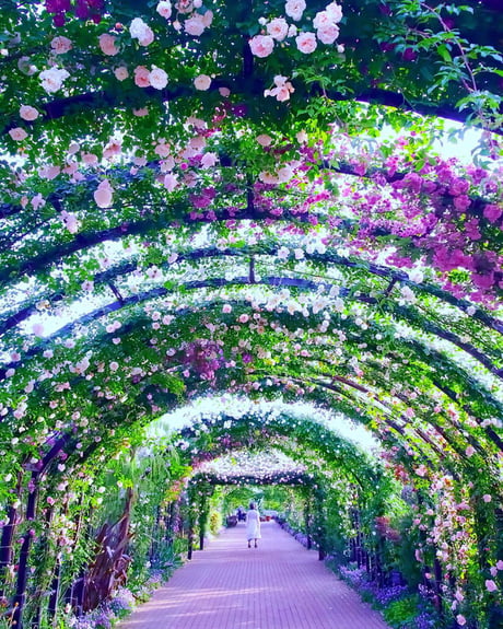 Yokohama English Garden 9gag