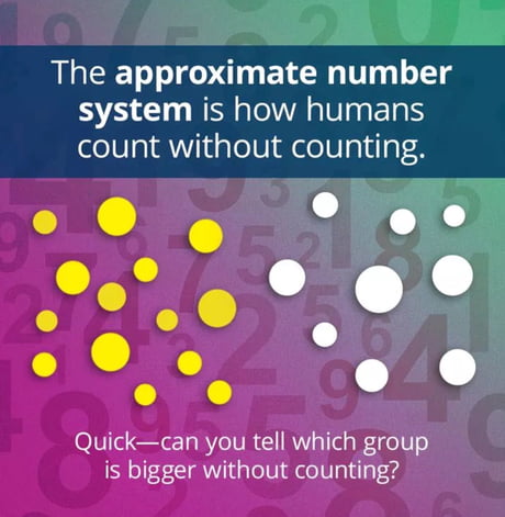 The approximate number system ladies and gentlemen of 9gag. - 9GAG