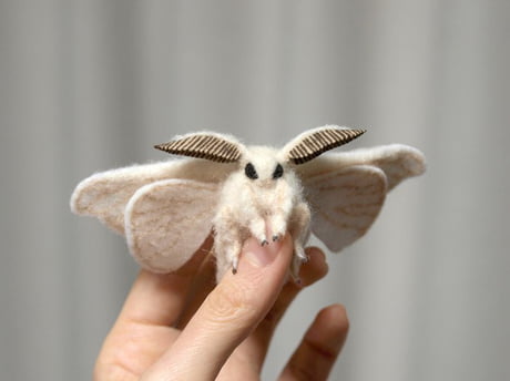 venezuelan poodle moth plush