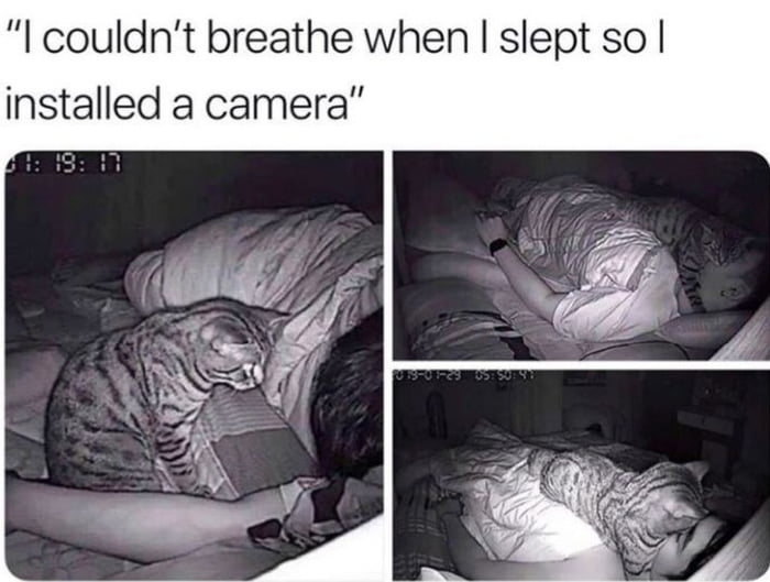 Plotting the murder 9gag