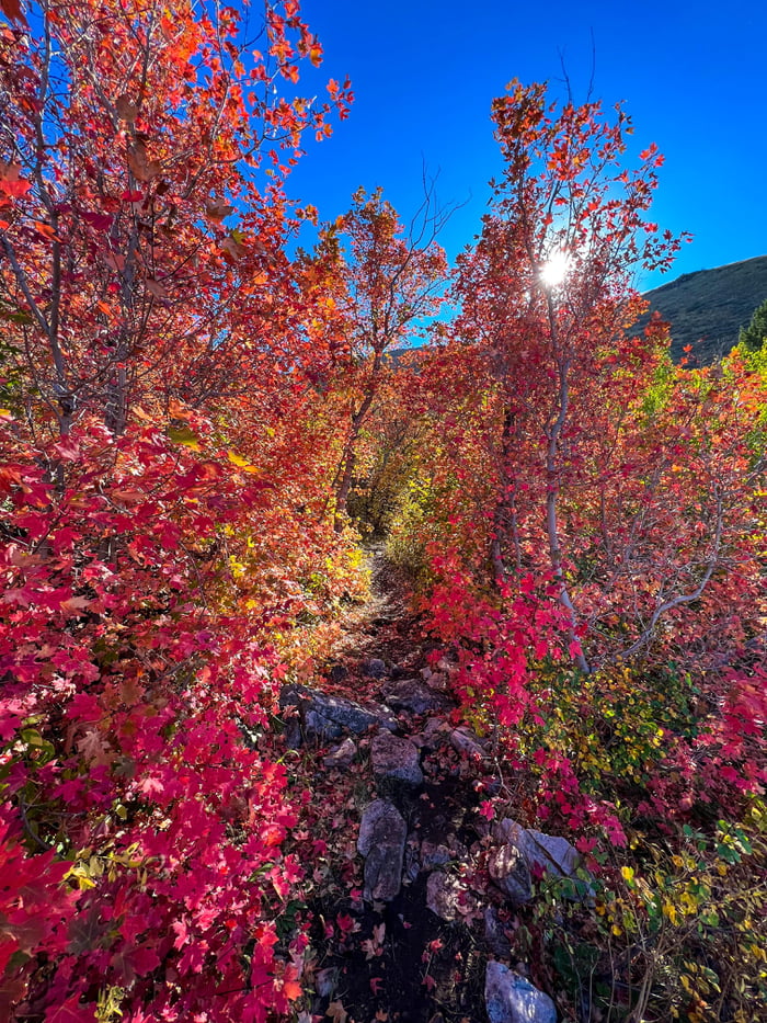 fall-on-the-trail-9gag