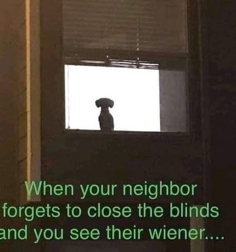 Best Funny neighbour Memes - 9GAG