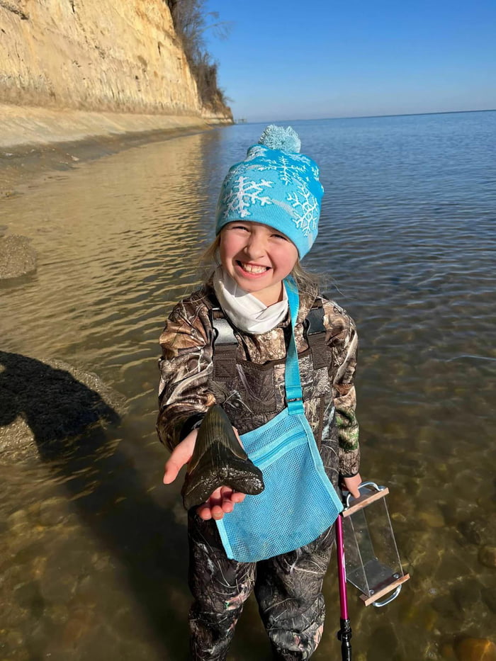 9 Year Old Maryland Girl Finds 15 million Year Old Megalodon Tooth in the Chesapeake Bay