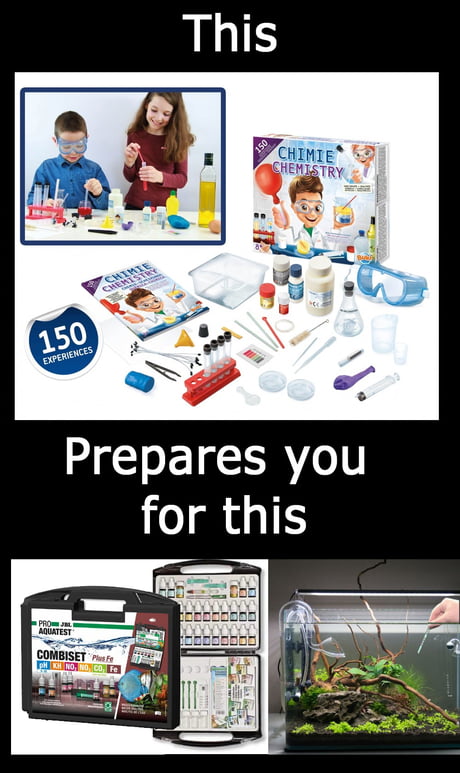 Best Funny aquarium Memes - 9GAG