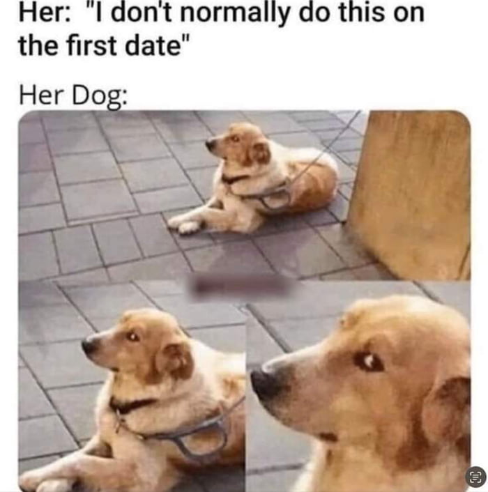 Dogs don't lie !