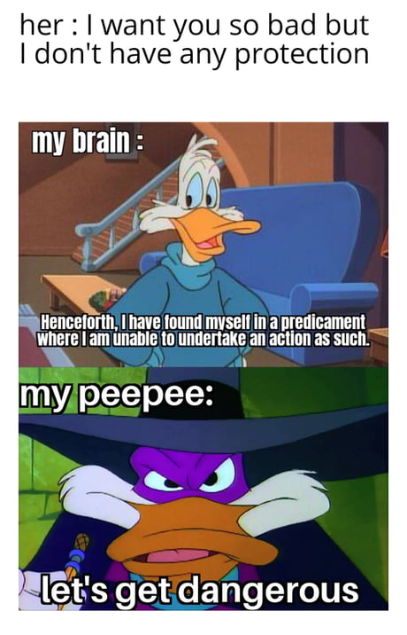 Best Funny darkwing duck Memes - 9GAG