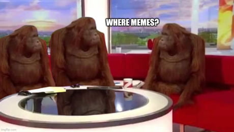 Best Funny funny monkey Memes - 9GAG