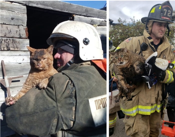 Russian and American cats after the fire 9GAG