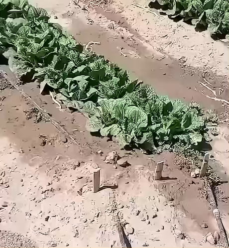 I thought this only happened in cartoon