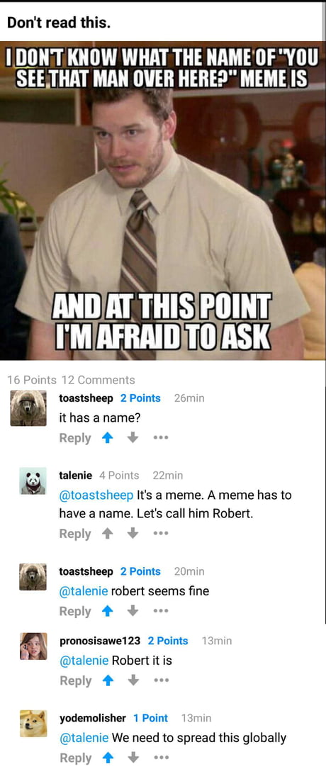 the name robert meme