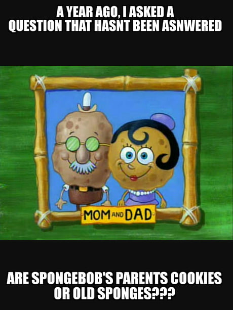 Spongebob Asking Questions