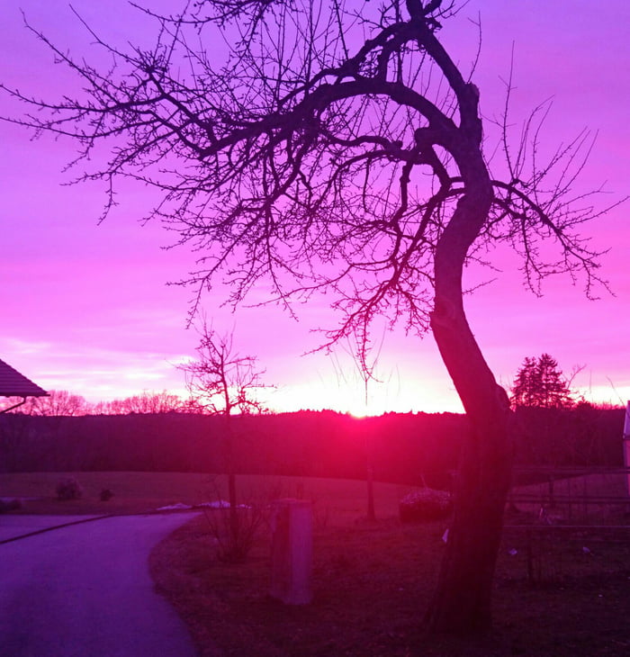 Слушать песни розовый закат. Сиреневый закат. Красивый дом с фиолетовым закатом. Фиолетовый закат роща. Фиолетовый закат с деревьями.