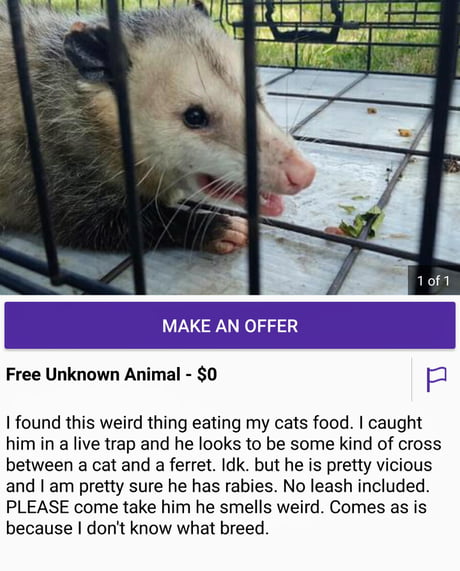 craigslist rat cage