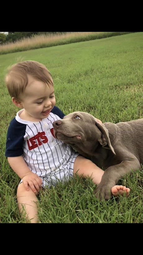 The way this puppy is looking at this baby