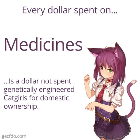 Genetically engineered catgirls for domestic ownership - 9GAG