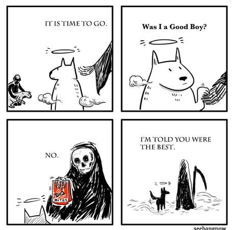 az9DKeN_460s.jpg