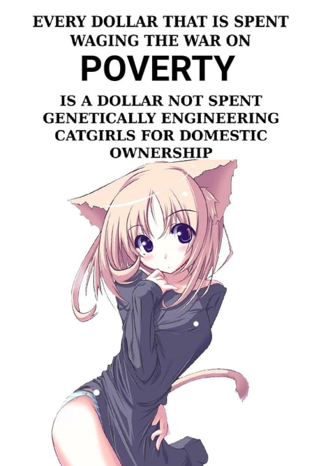 Every dollar spent fluoridating the water is another dollar not spent on  genetically enginyaring catgirls for domestic ownership - Imgur