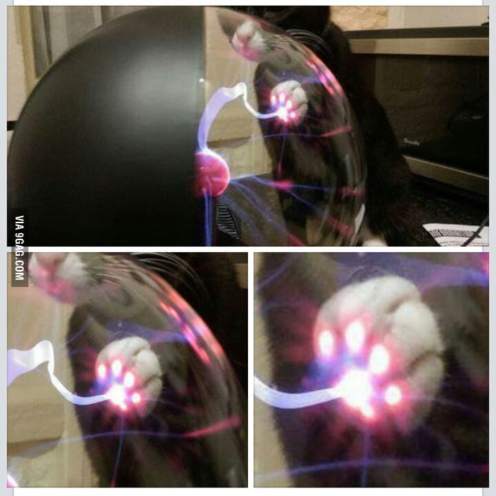 This is what happens when a cat touch a plasma ball 9GAG