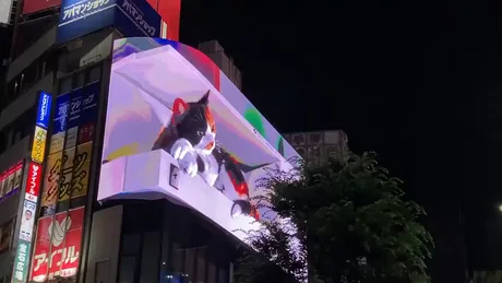Giant Cat Appears On New 3d Billboard Outside Shinjuku Station 9gag