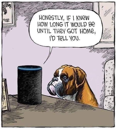 It's a dog's life Alexa
