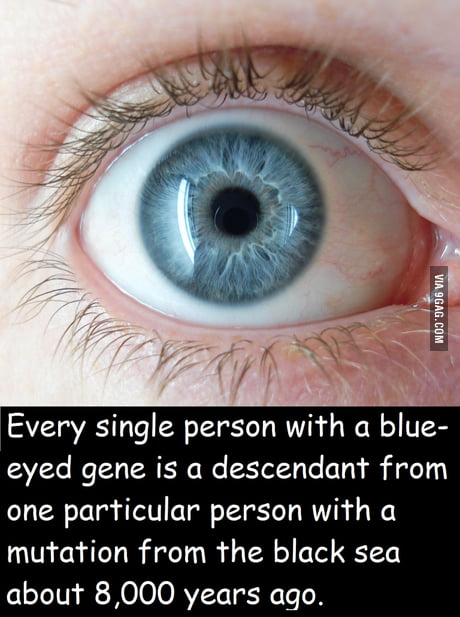 Just a black man with blue eyes - 9GAG