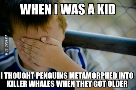 Like How Caterpillars Turn Into Butterflies 9gag