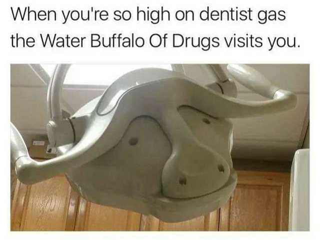 AHHH YES