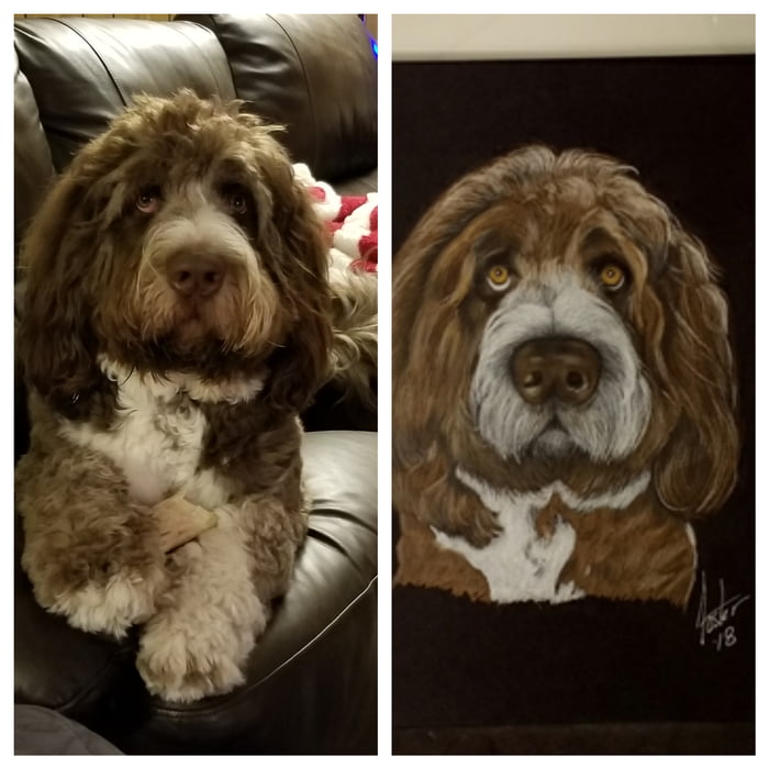 Heckin good boi does an art.