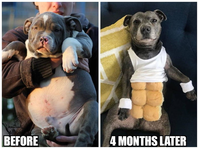What's your excuse?