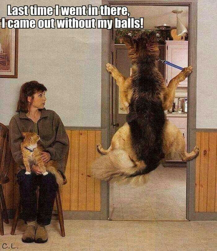 Not this time doc !