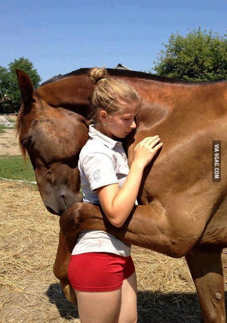 Horse hugs his girl, too sweet - 9GAG