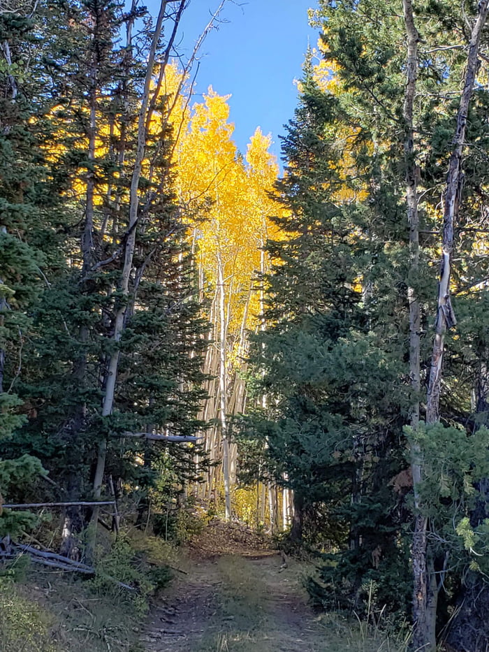 Life Goal Achieved Bought a 280 acre property for 300k in Utah (USA