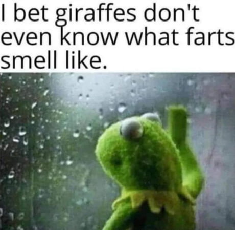 Why do farts smell bad in the shower