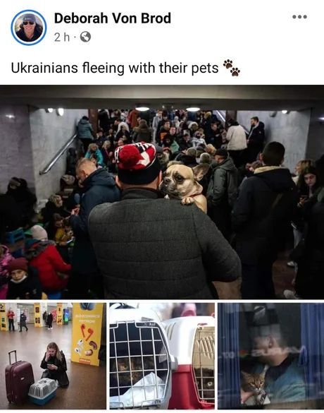 https://img-9gag-fun.9cache.com/photo/azexE8x_460swp.webp