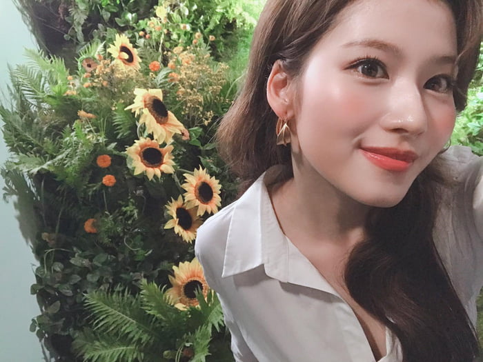 Photo : Twice Japan Line Update - Sana selca