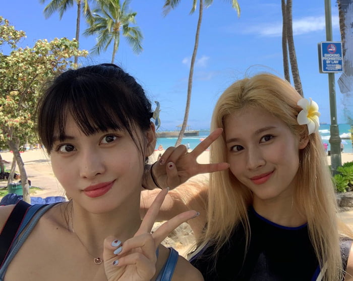 Photo : Momo & Sana in Hawaii