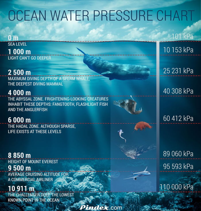 10-deepest-parts-of-the-ocean-2022