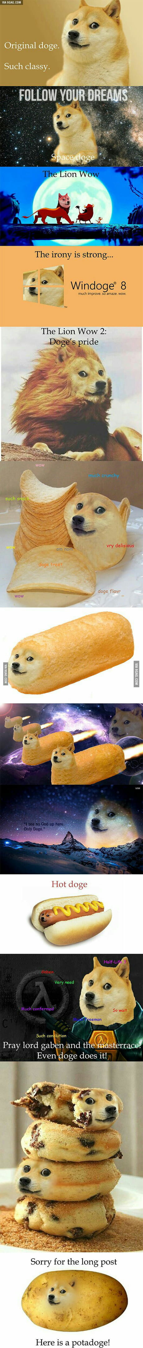 I Like This Doge 9gag