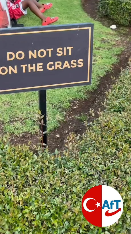 Well they cannot read