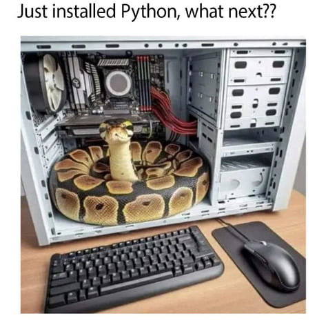 Just keep it away from the mouse...