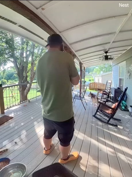 Squirrel woke up and chose VIOLENCE on the whole family