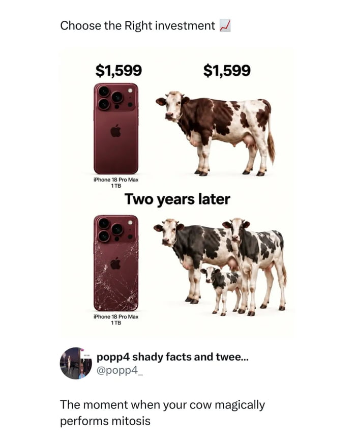 Cows are clearly the superior financial asset