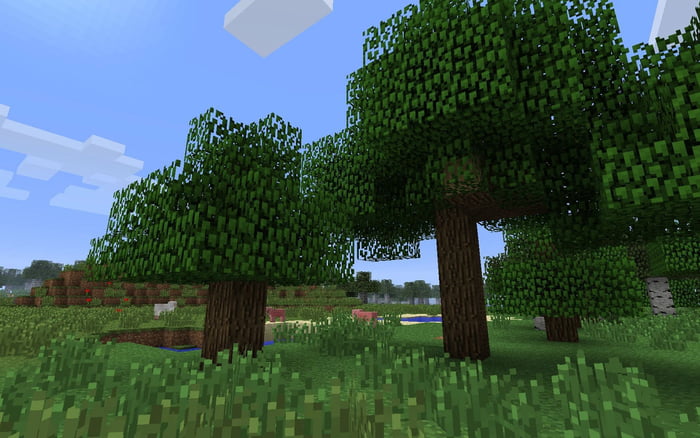 Behind-The-Scenes Leak Shows Tree From Live-Action 'Minecraft' Movie - 9GAG