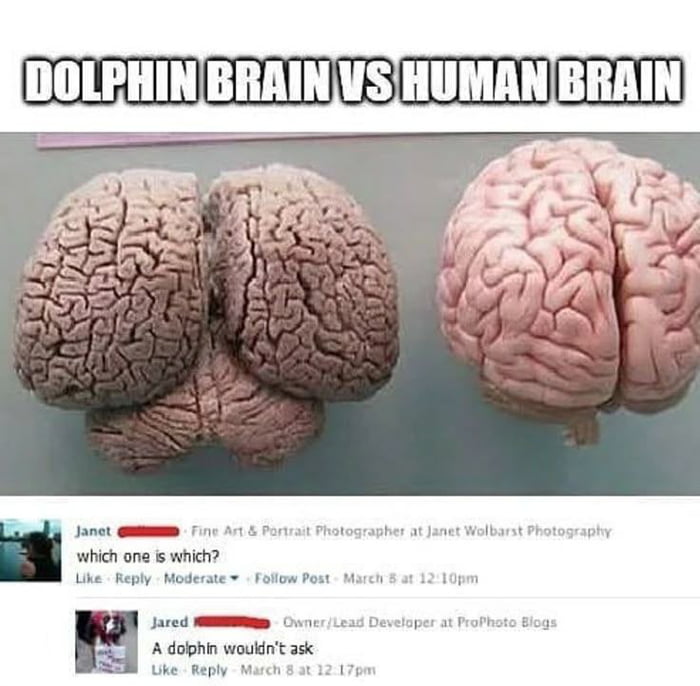 Stolen share 1