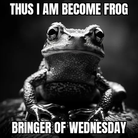 Memes Of Frogs