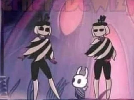 Best Funny hollow knight Memes - 9GAG