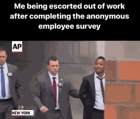 Filled out that anonymous survey on employee satisfaction today.