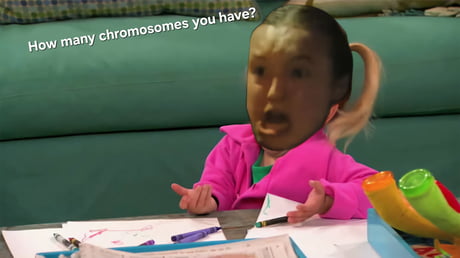 Best Funny bella ramsey Memes - 9GAG