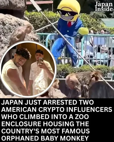 Good work Japan